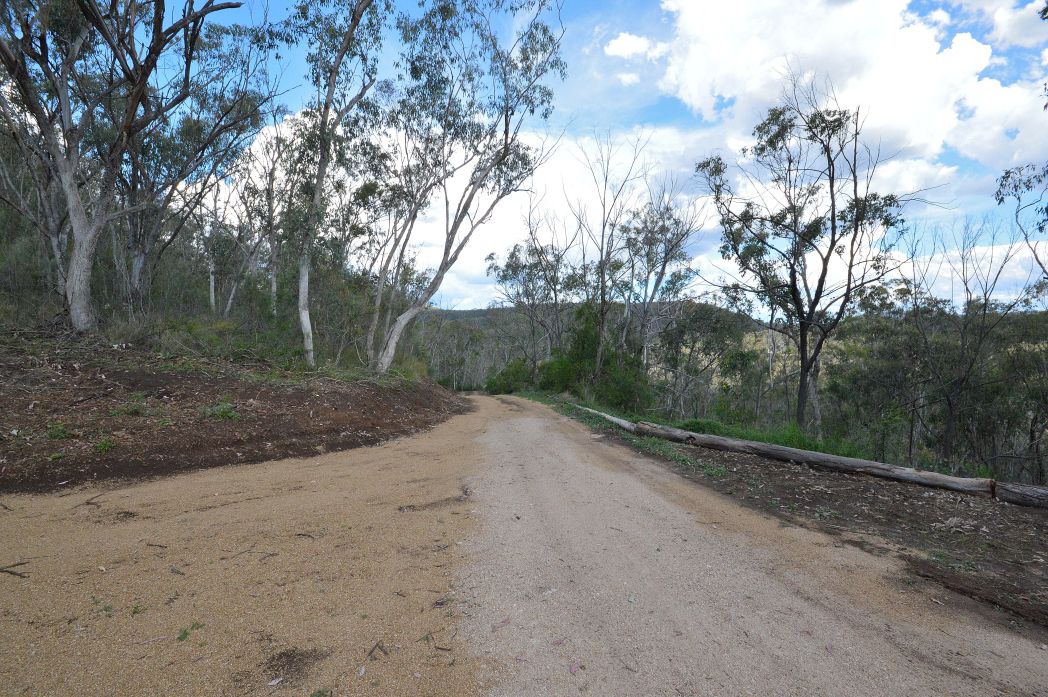 3 bedrooms Acreage / Semi-Rural in 573 Charleys Gully Road FREESTONE QLD, 4370