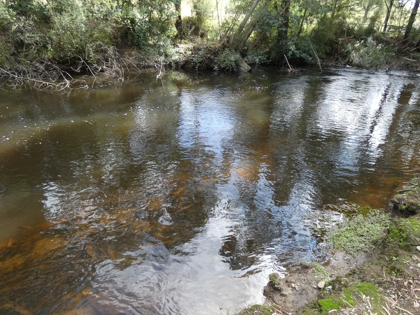 Image 31