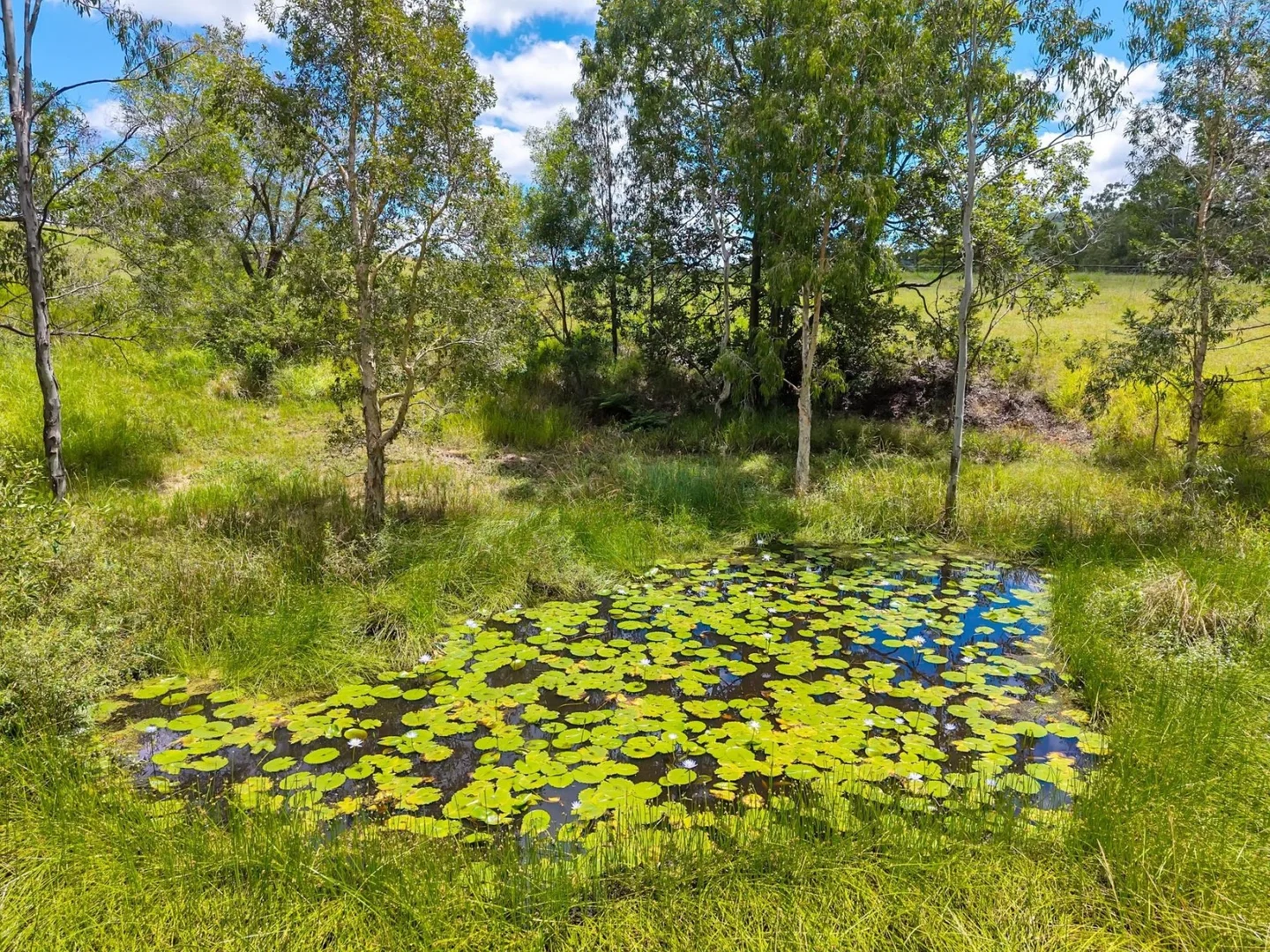 Additional image 13 of 1980 Maleny Stanley River Road, Booroobin QLD 4552