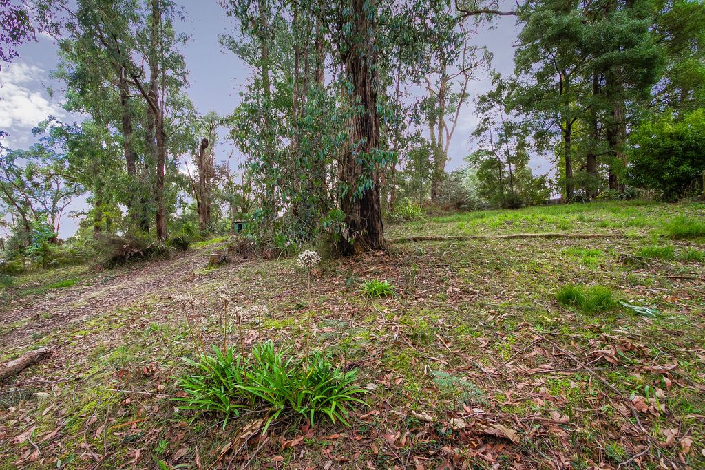 18 Upper Grieve Road, Avonsleigh VIC 3782, Image 2