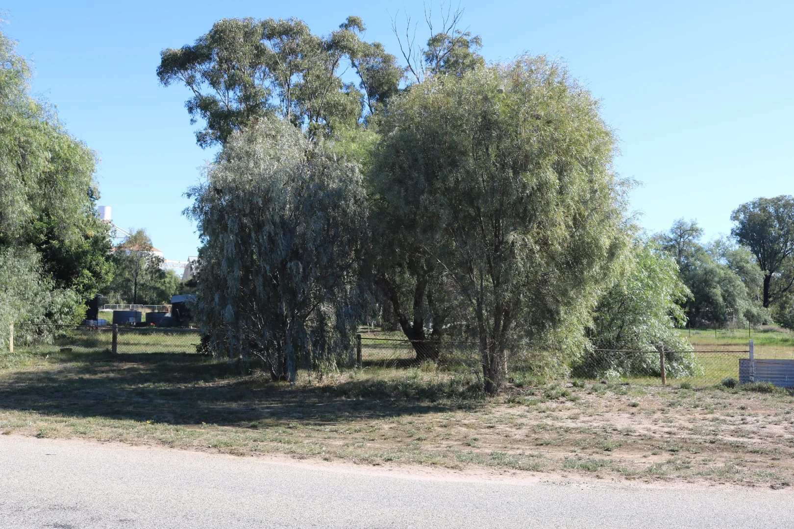 Image 7