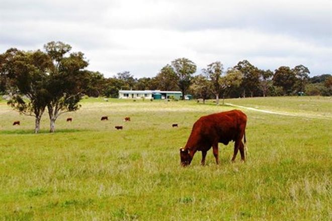 Picture of 471 Watsons Creek-tilmunda Rd, WATSONS CREEK NSW 2355