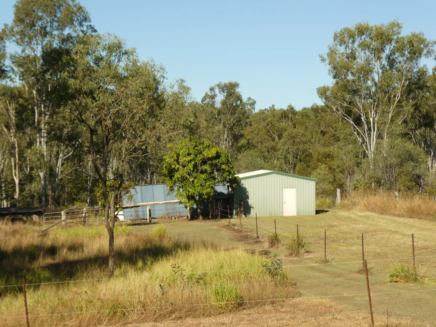 Image 20