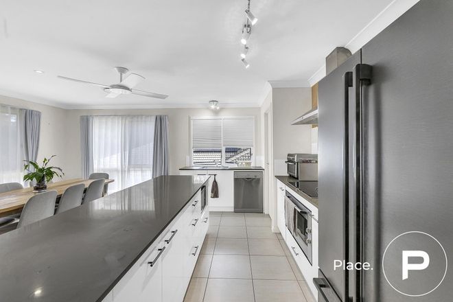 41 Shallow Bay Drive Springfield Lakes 4300 - Image 3