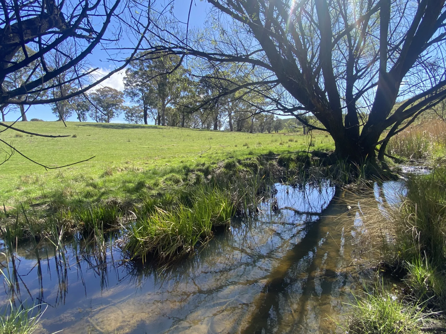 Image 14