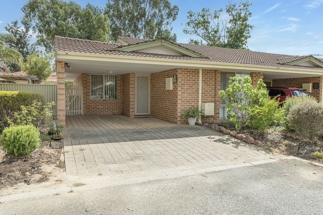 Picture of 4/133 West Road, BASSENDEAN WA 6054