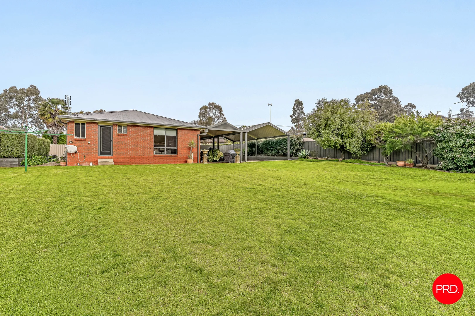 Image 21