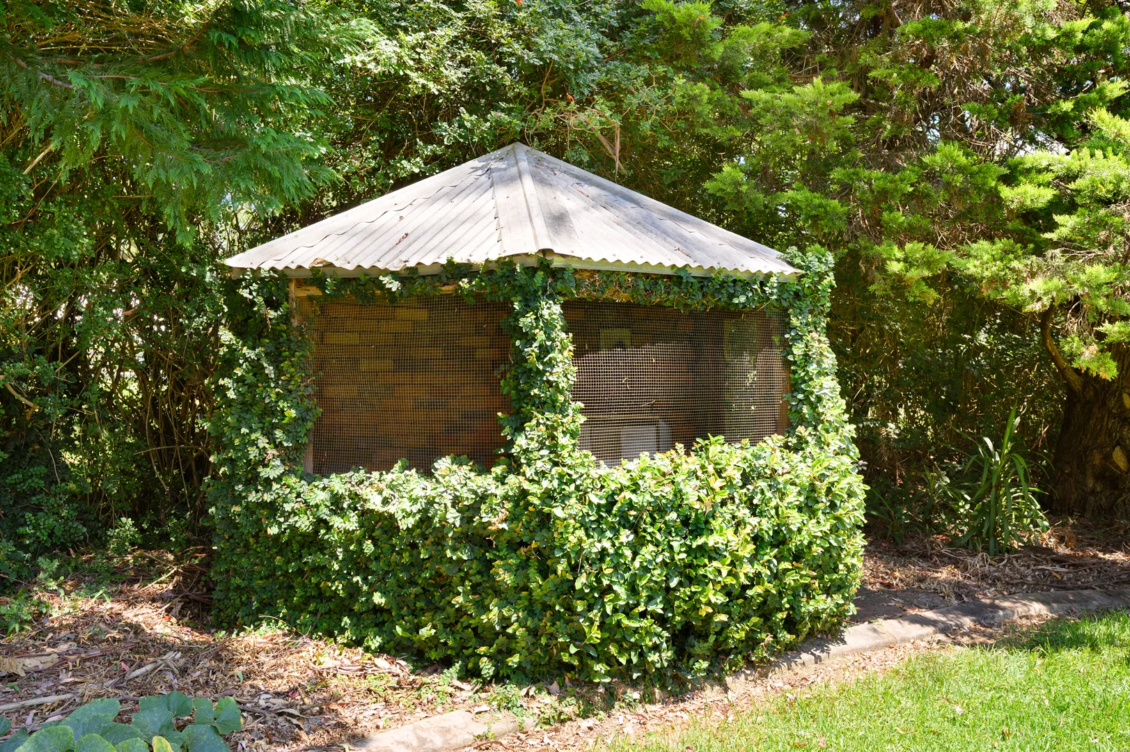 Image 29