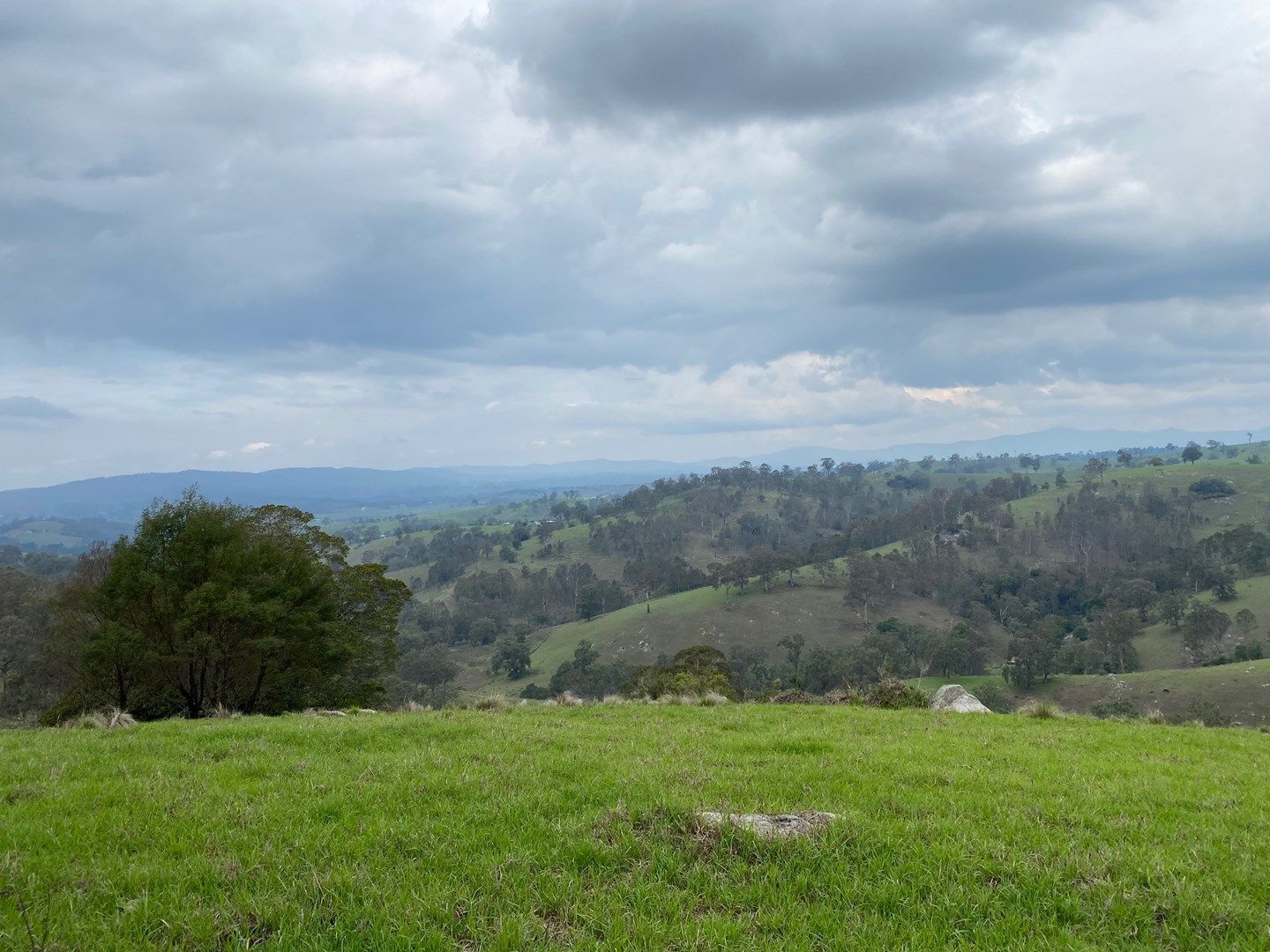 Lot 611 Peak Hill Road, Buckajo NSW 2550, Image 0