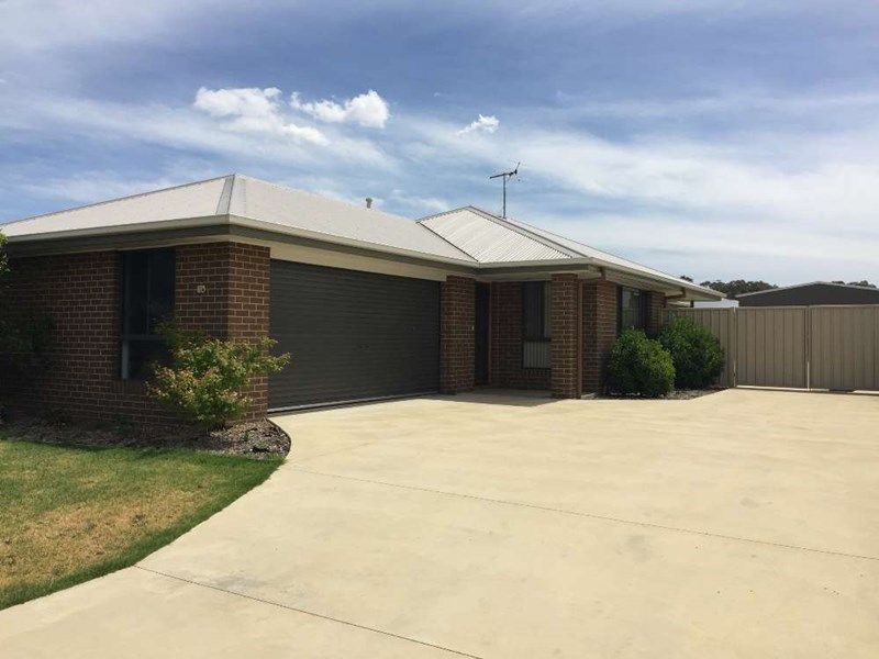 14 Pech Avenue Jindera Nsw 2642 House For Rent 395 Domain