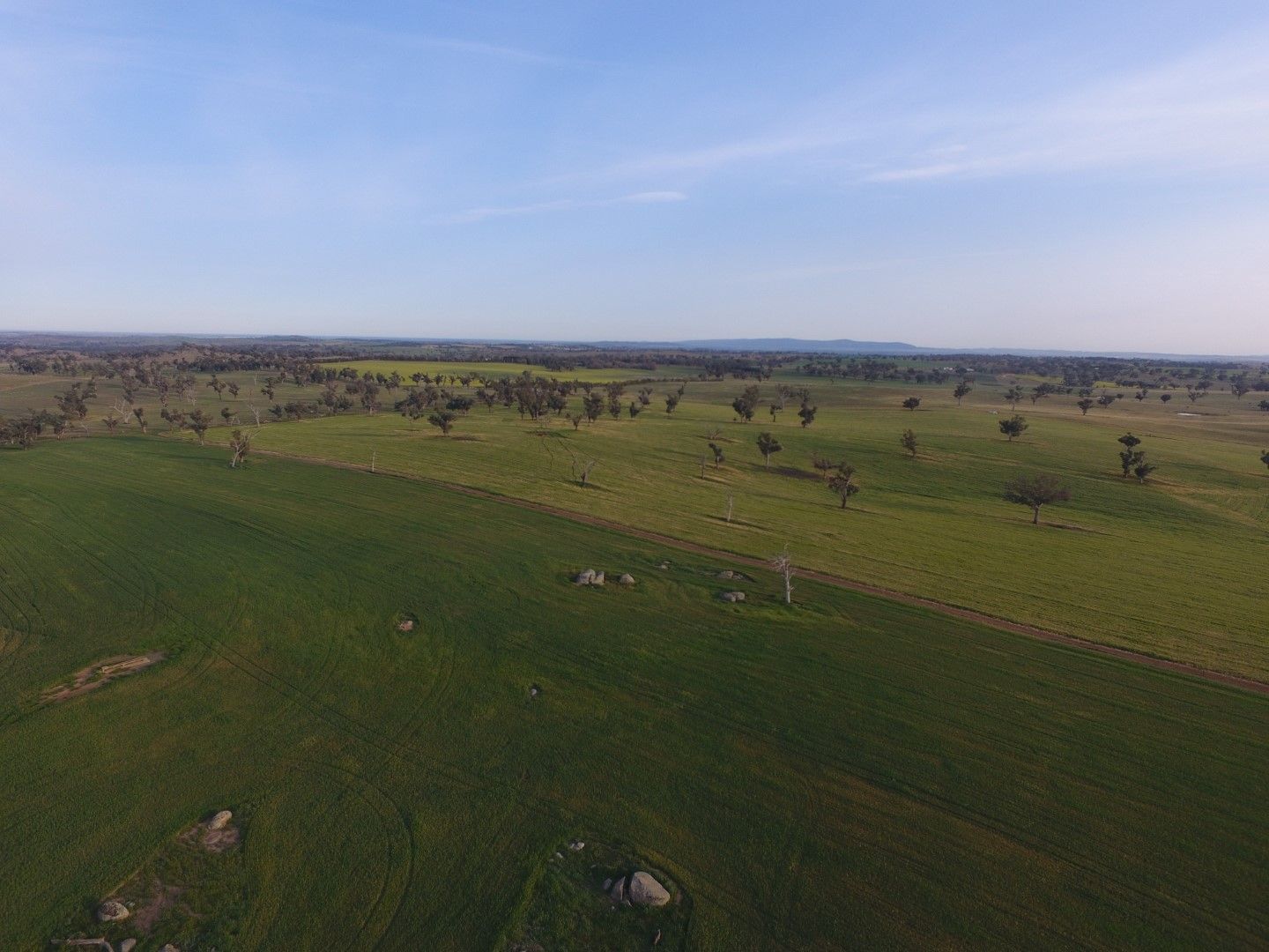 Uplands, Young NSW 2594, Image 2