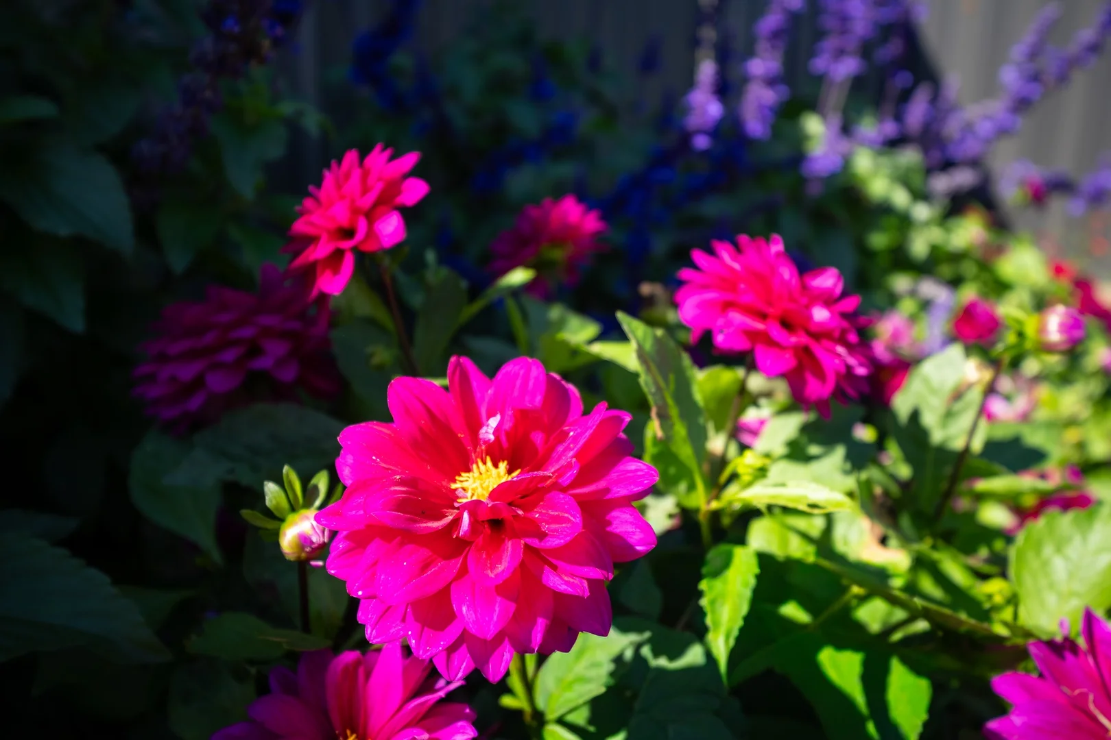 Additional image 27 of 1 Ellis Drive, Oberon NSW 2787