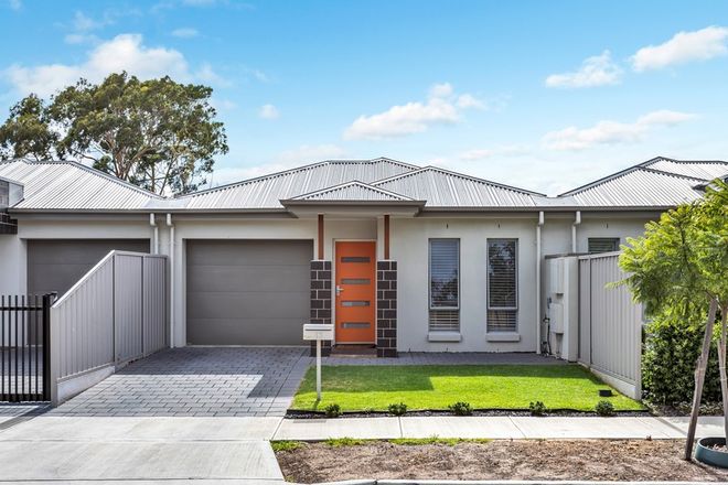 Picture of 13 Nellie Avenue, MITCHELL PARK SA 5043