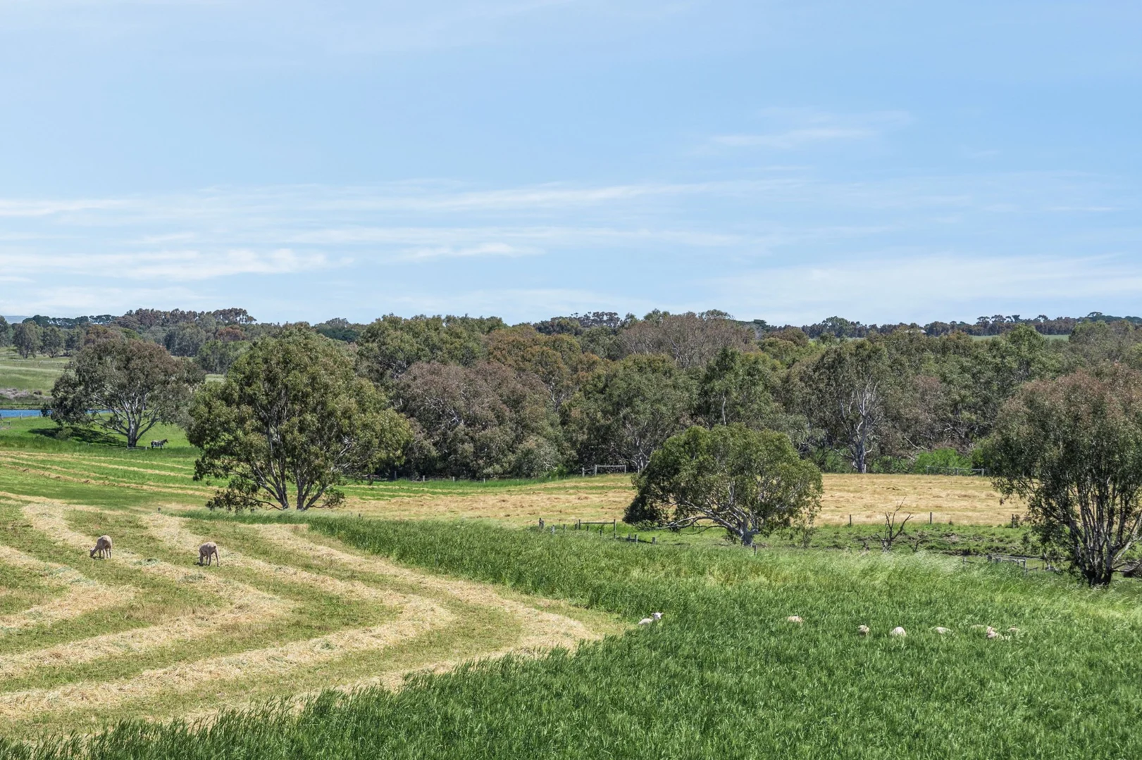 Additional image 6 of 1159 Inverleigh-Winchelsea Road, Inverleigh VIC 3321