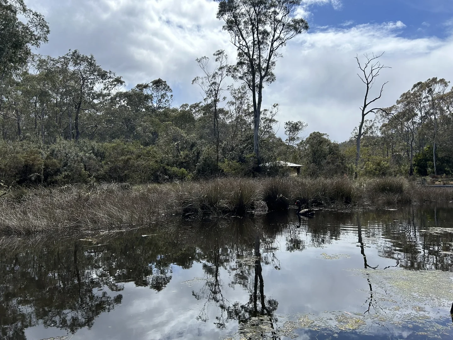 Additional image 16 of 230 Randalls Bay Road, Randalls Bay TAS 7112