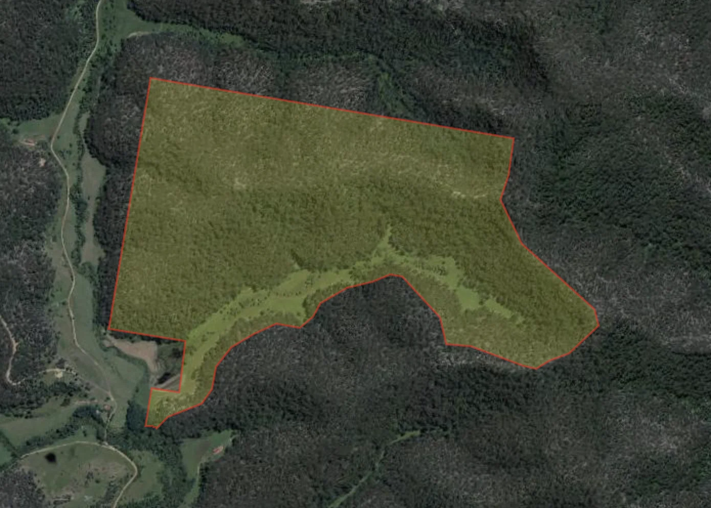 Image 5