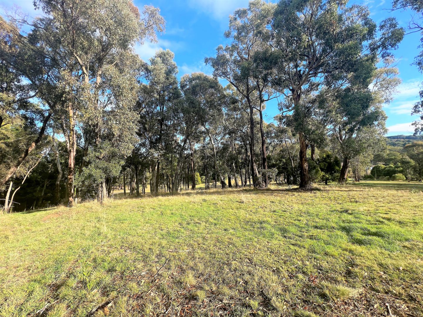 Yetholme NSW 2795, Image 1