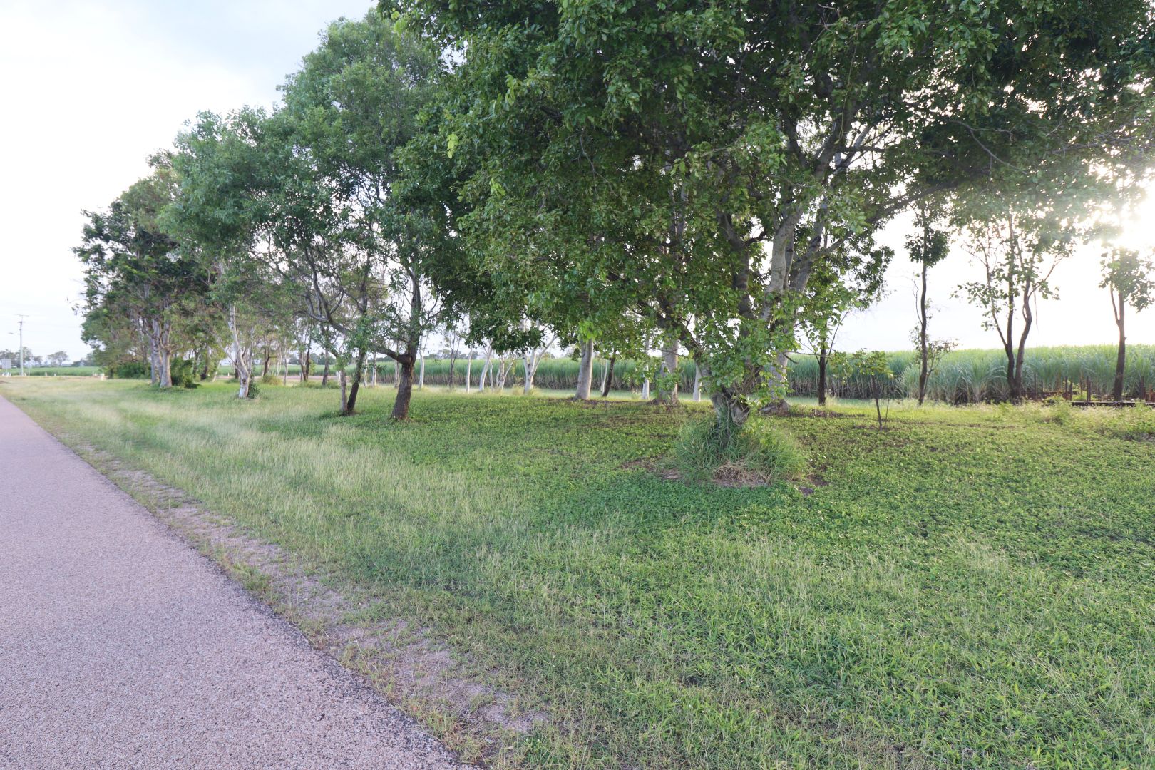 406 Old Clare Road, McDesme QLD 4807 Domain