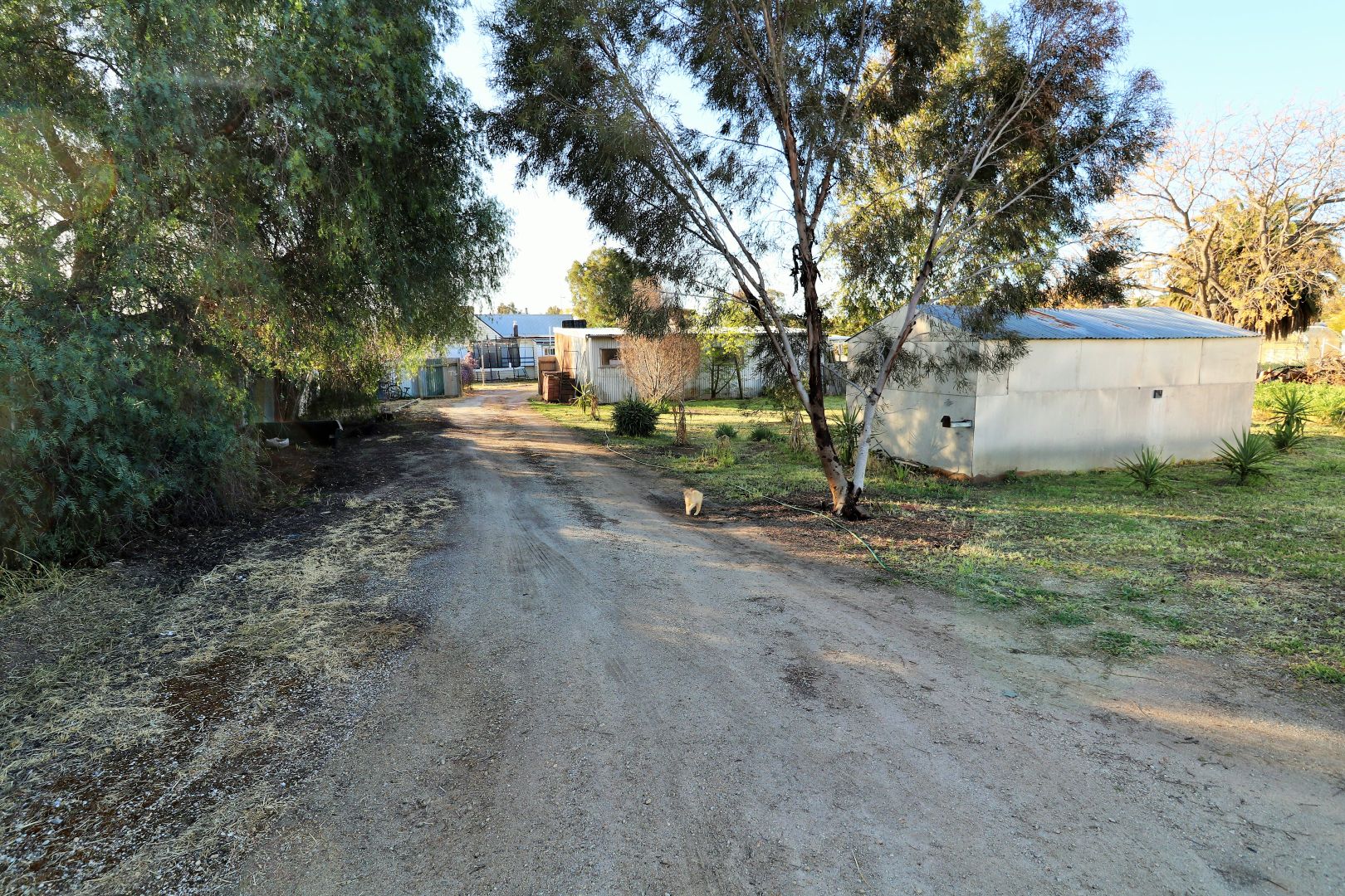 8 Durham Ox Road, Pyramid Hill VIC 3575, Image 1