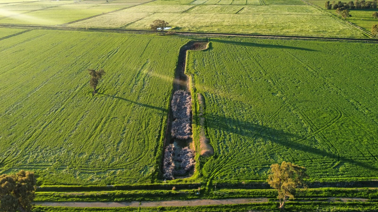 Image 14