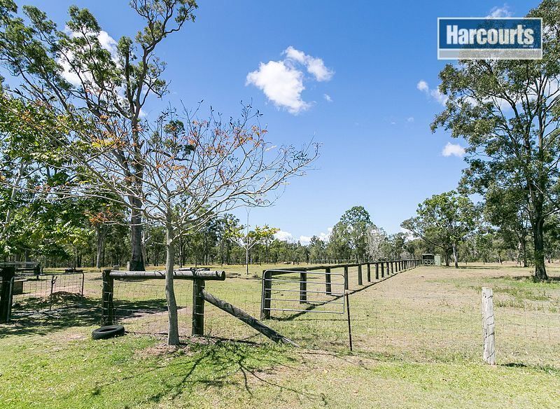 153 Barranjoey Drive, Sunshine Acres QLD 4655, Image 2