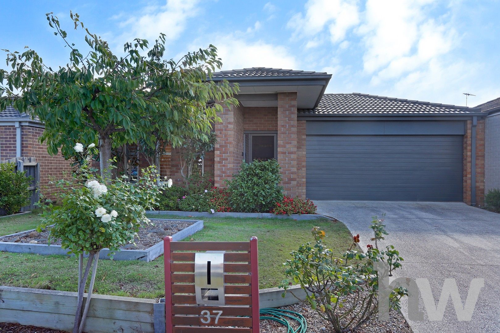 37 Werner Avenue, Marshall VIC 3216, Image 0