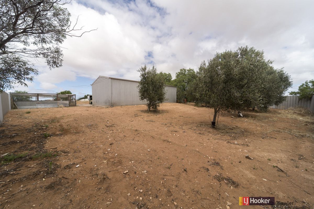 128 Lorne Road, Wild Horse Plains SA 5501, Image 2