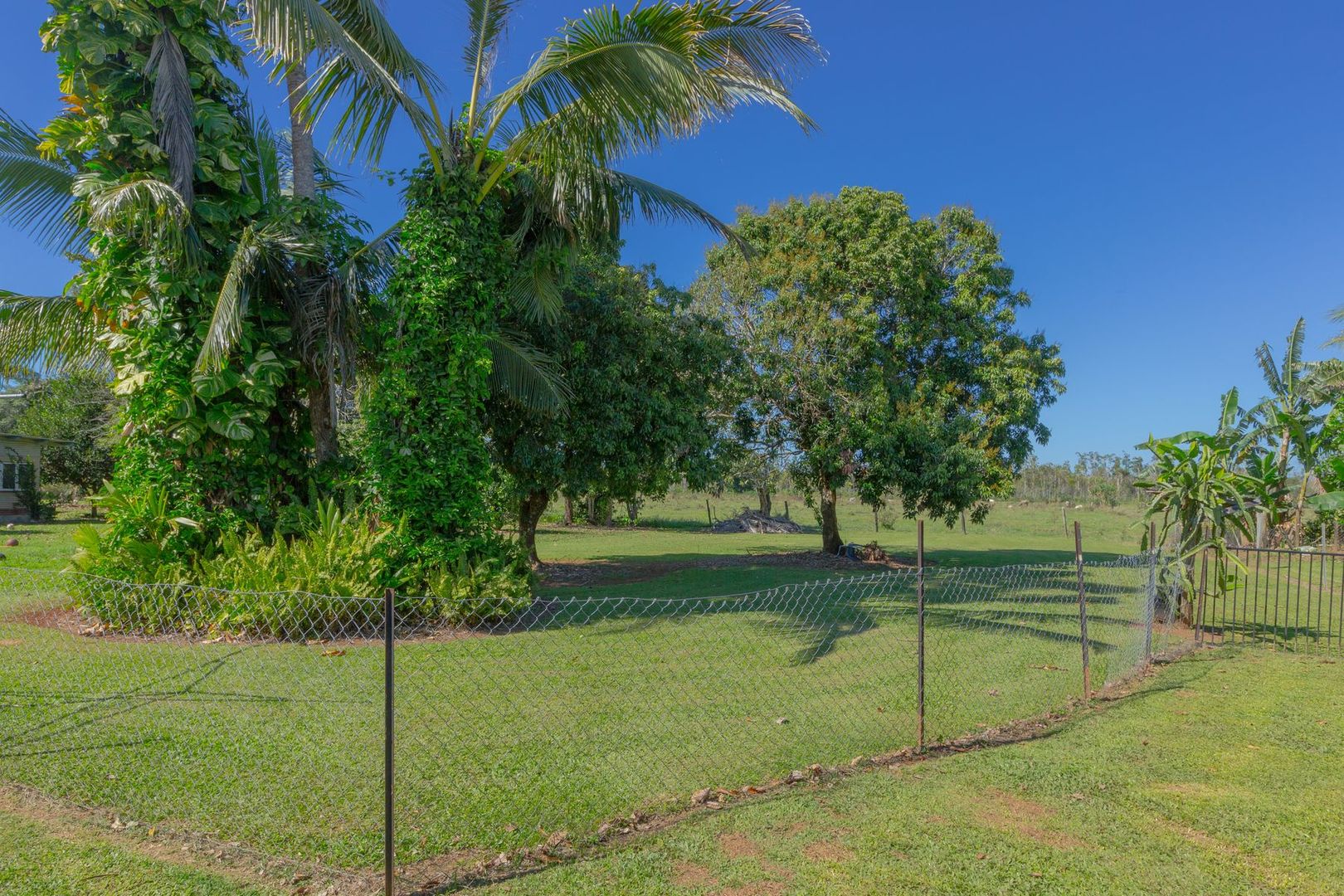 56 Howe Street, Webb QLD 4860, Image 1