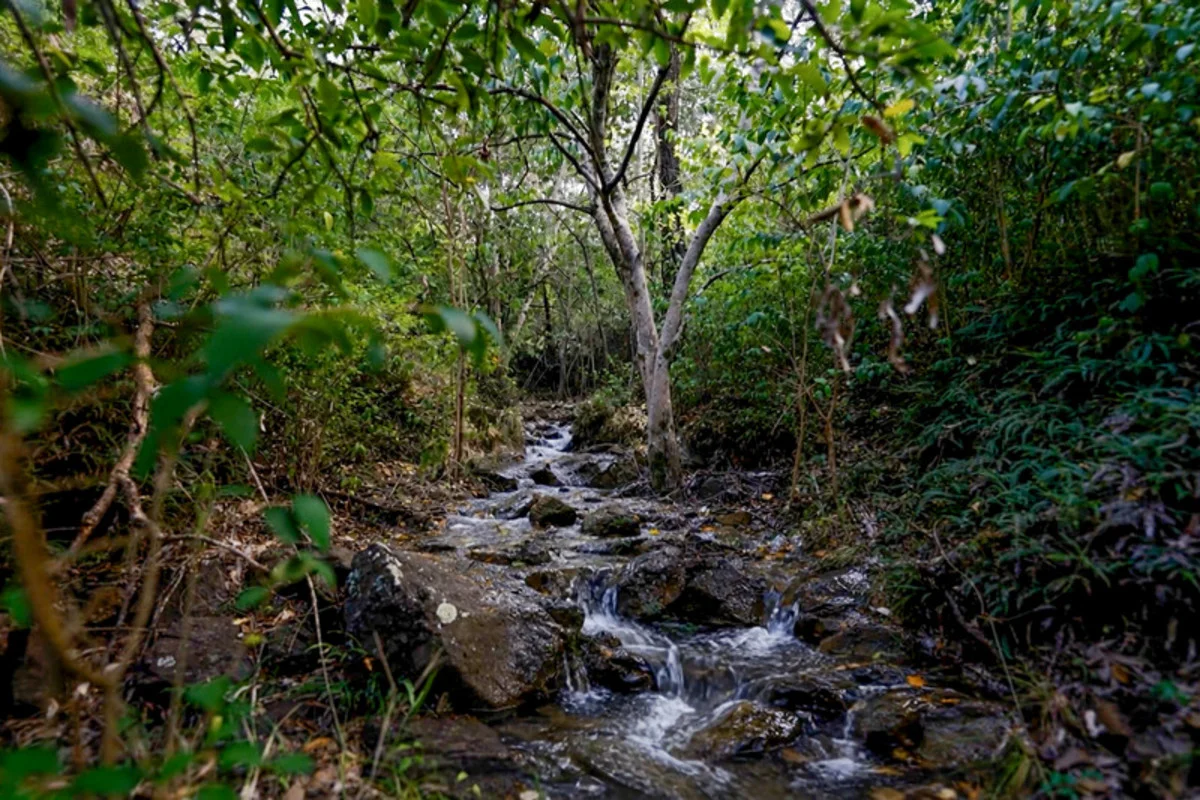Image 12