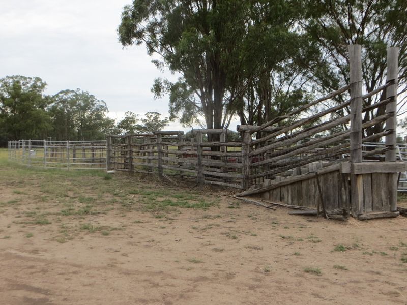 1958 ACRES GRAZING, Tara QLD 4421, Image 1