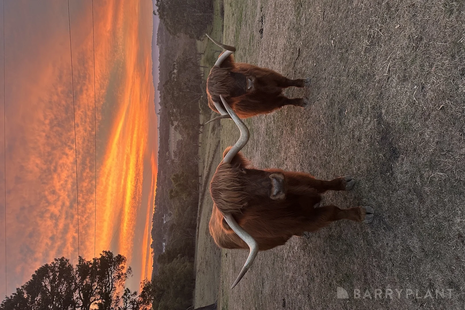 Additional image 27 of 140 Harding Road, Macclesfield VIC 3782