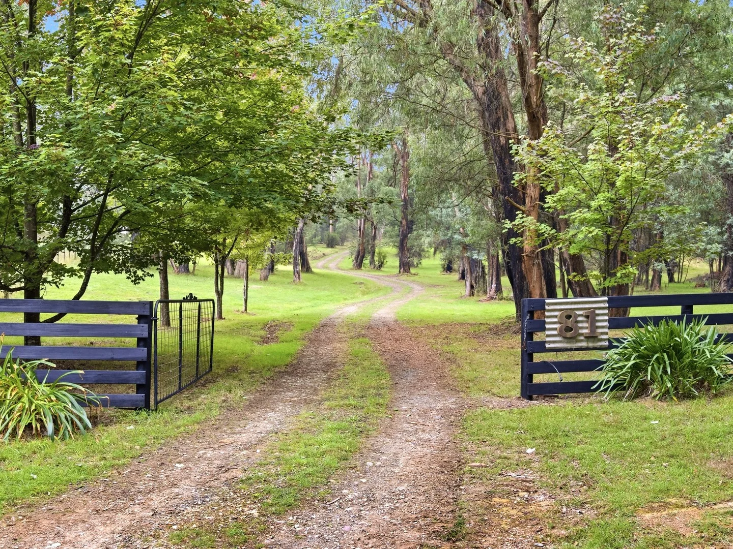 81 Gypsy Lane, Buxton VIC 3711