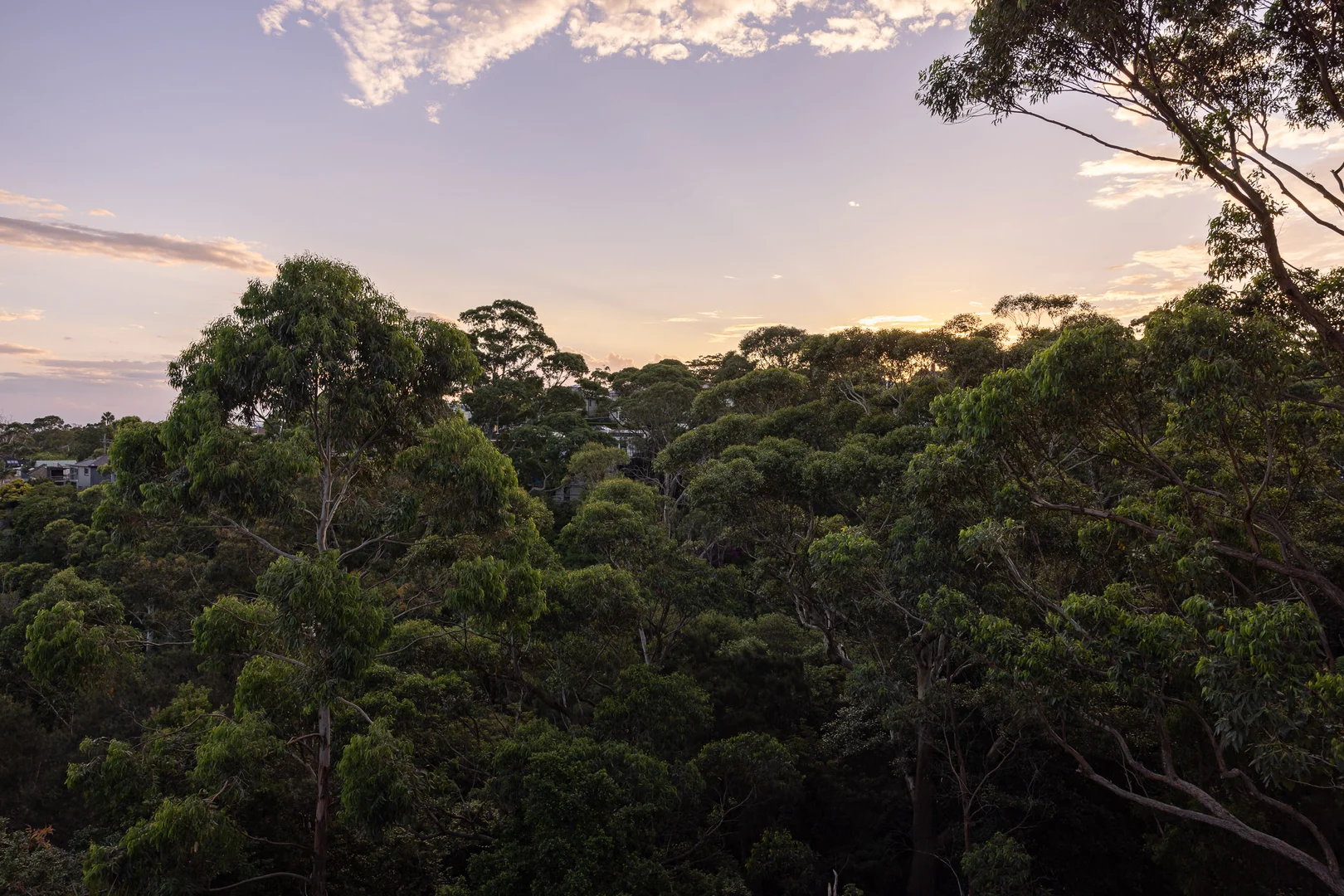 Additional image 34 of 66D Milray Avenue, Wollstonecraft NSW 2065