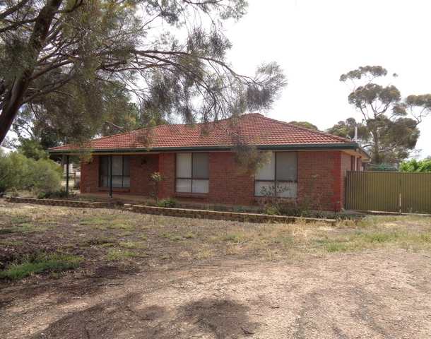 4 Loveday Street, Windsor SA 5501