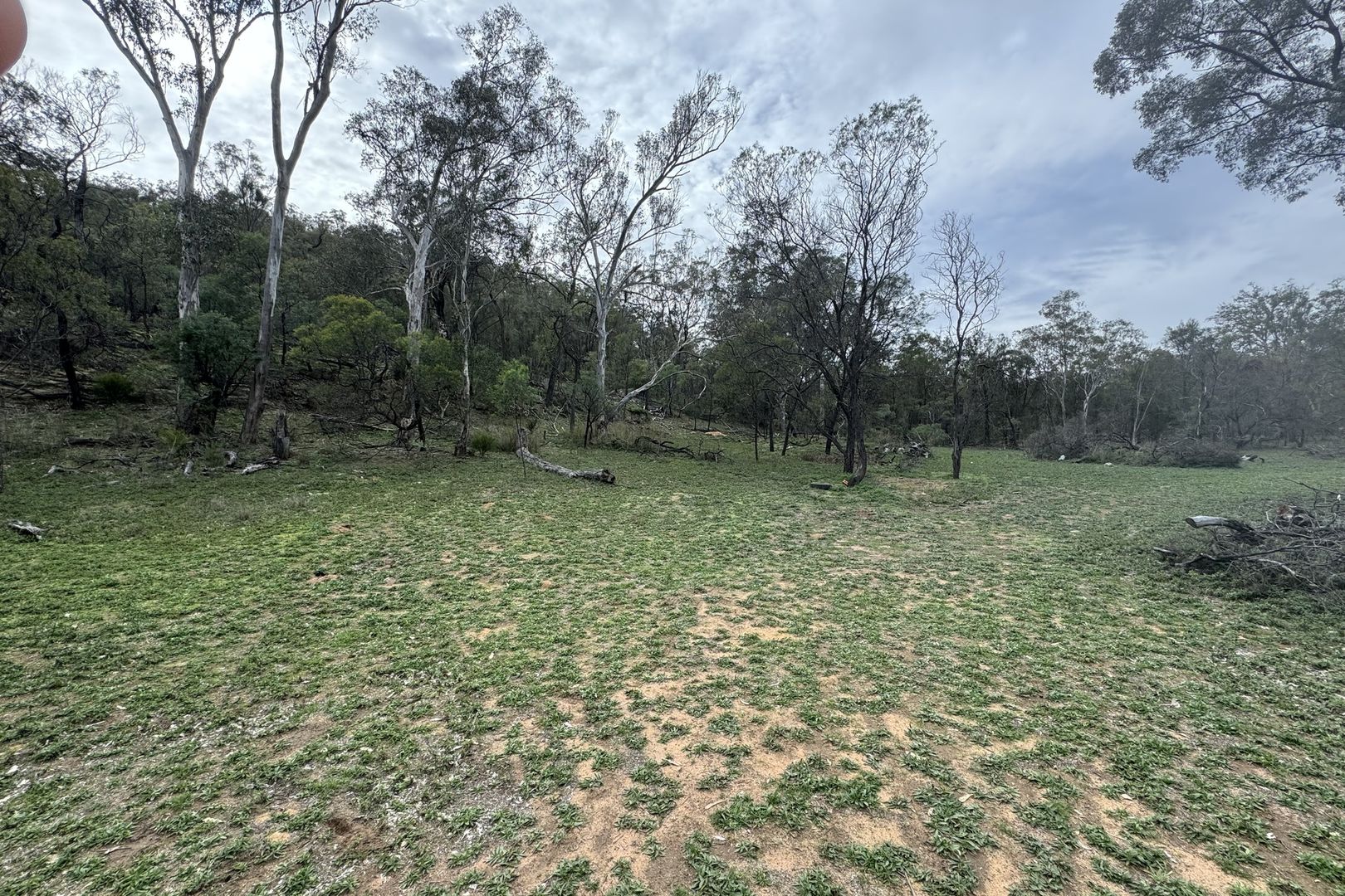 3480 Golden Highway, Merriwa NSW 2329 House for Sale Domain