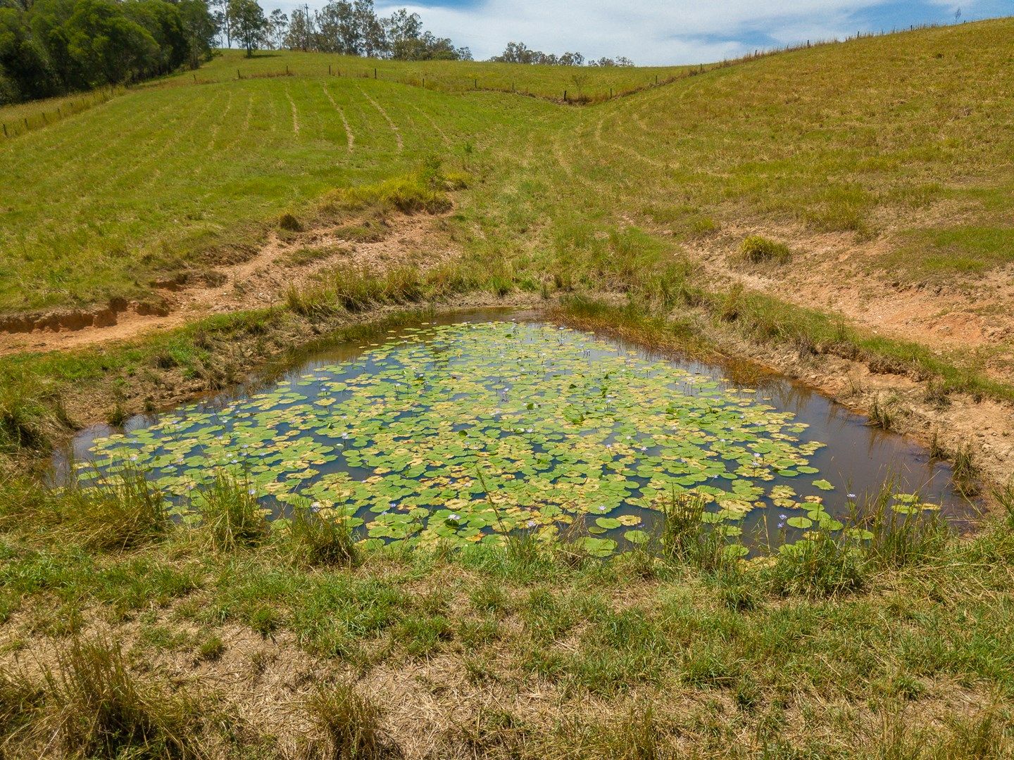 North Deep Creek QLD 4570, Image 1