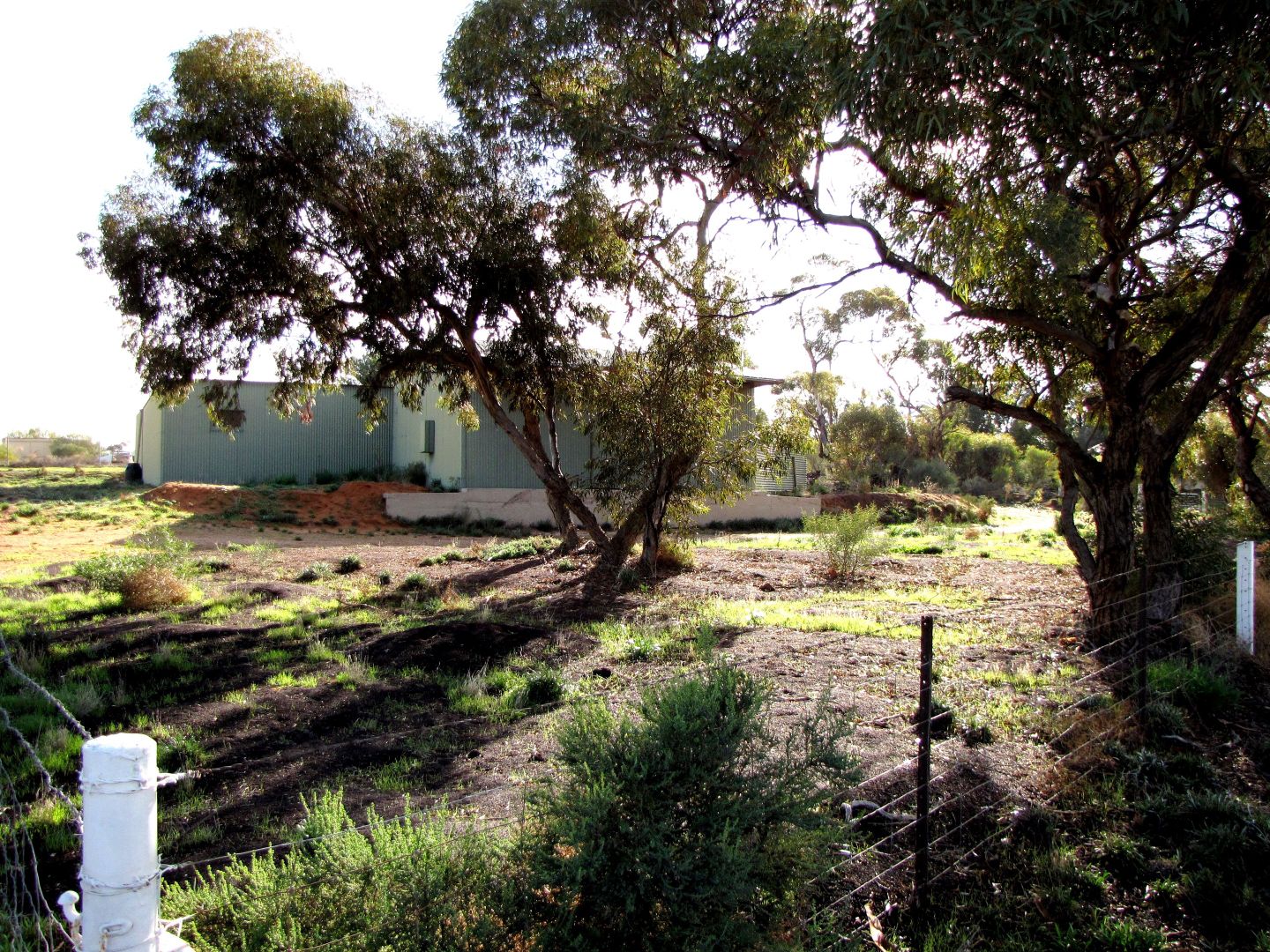 Lot 424 CURTIS ROAD, Waikerie SA 5330, Image 1