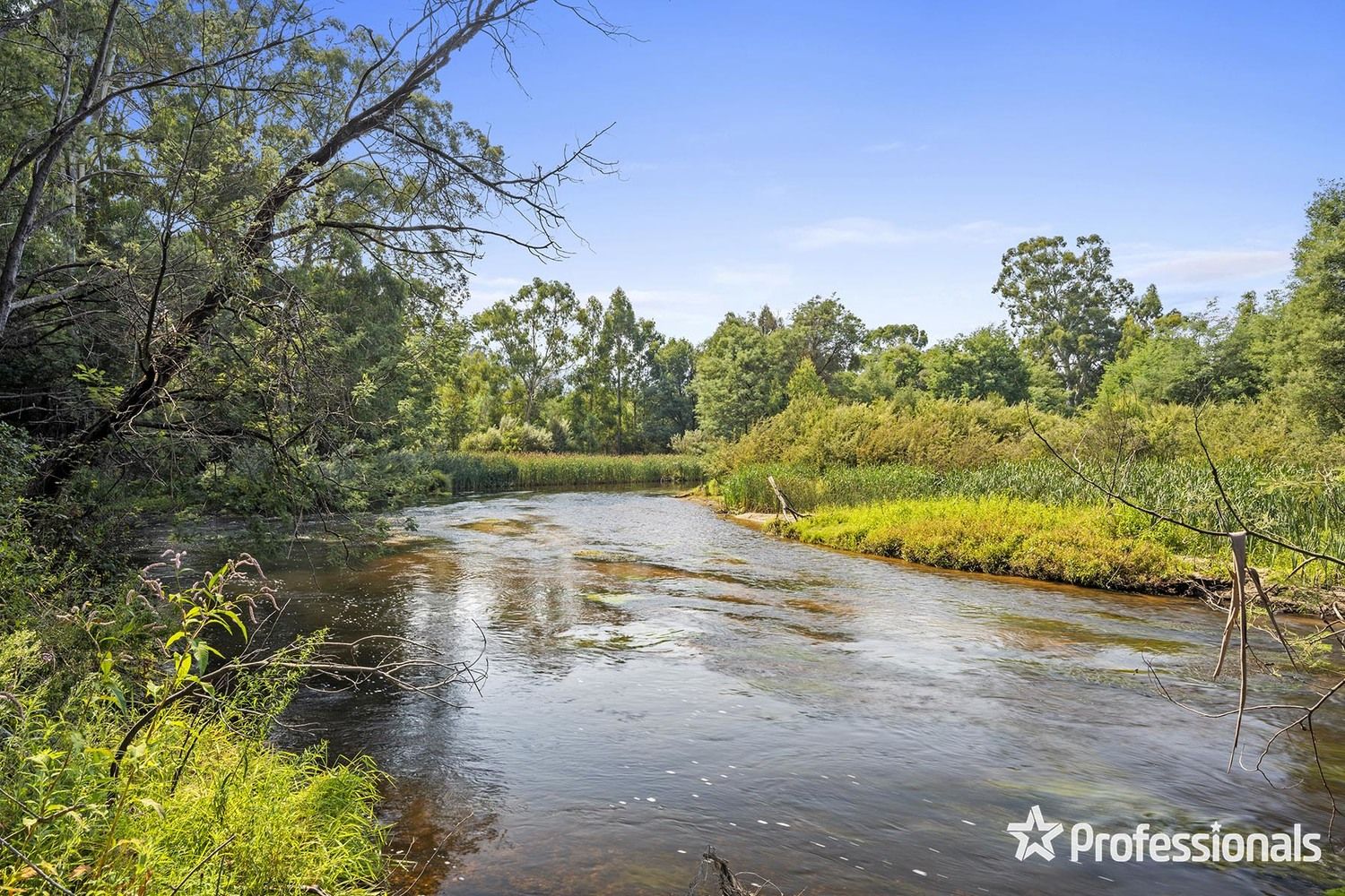 45 Dalry Road, Launching Place VIC 3139, Image 1