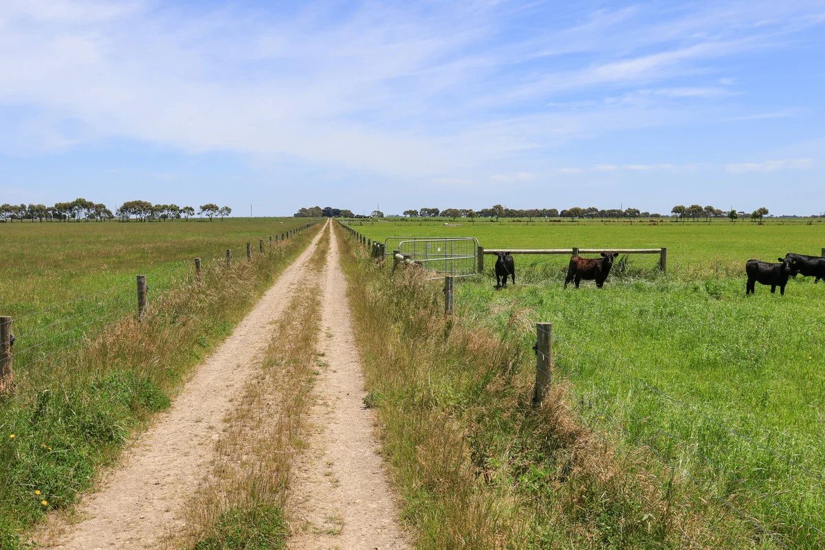 Image 17