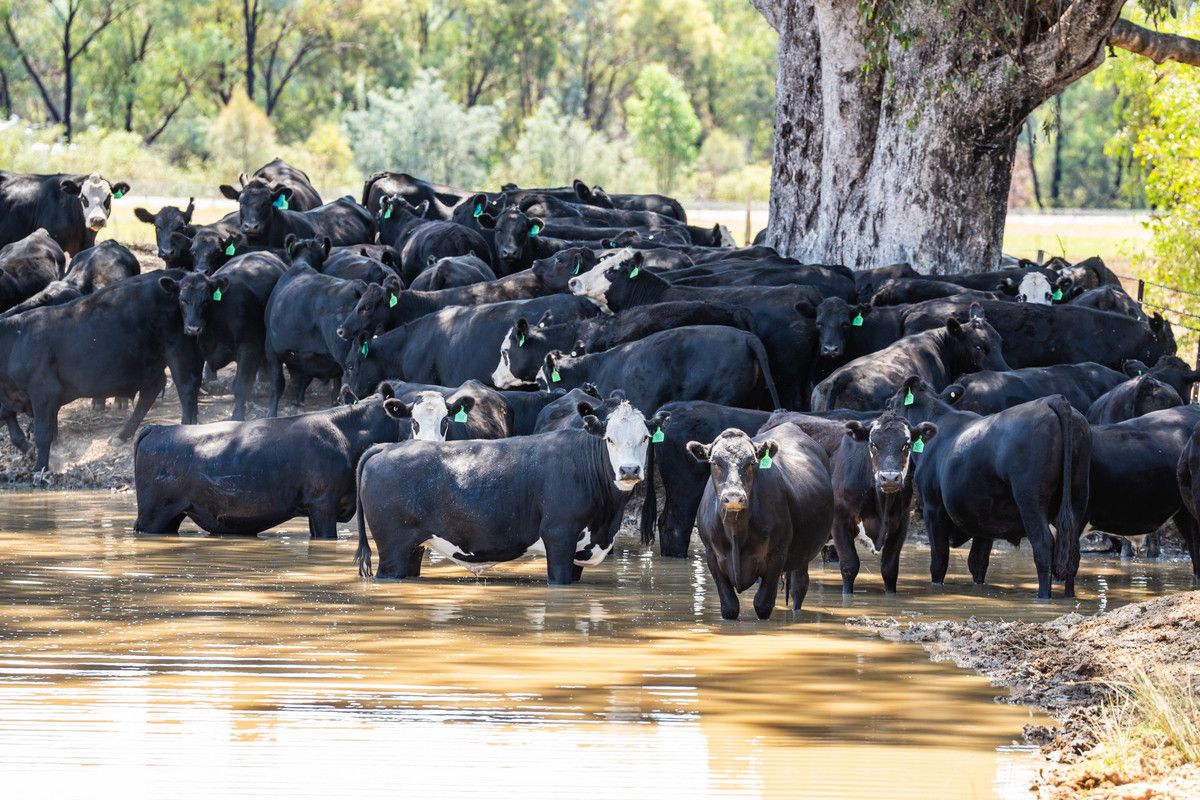 Barnawartha Depot Road, Indigo Valley VIC 3688, Image 2