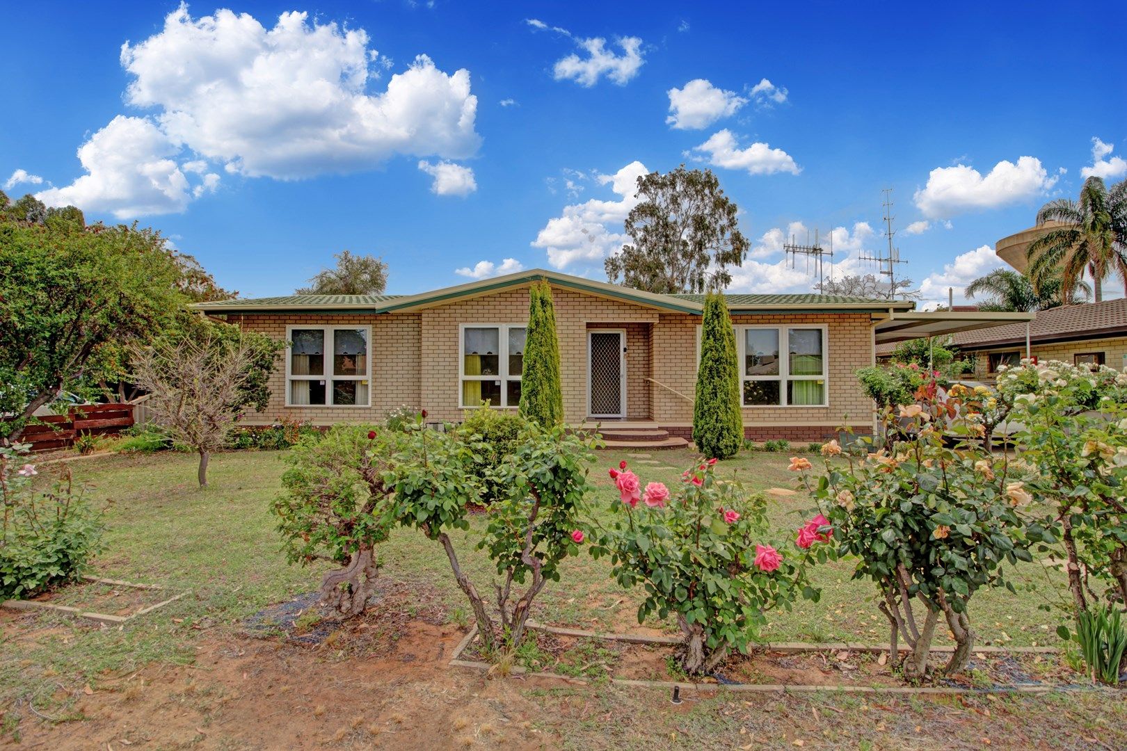 10 Dix Street, Renmark SA 5341, Image 0