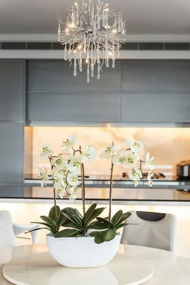 Additional image 8 of 5001/101 Bathurst Street, Sydney NSW 2000