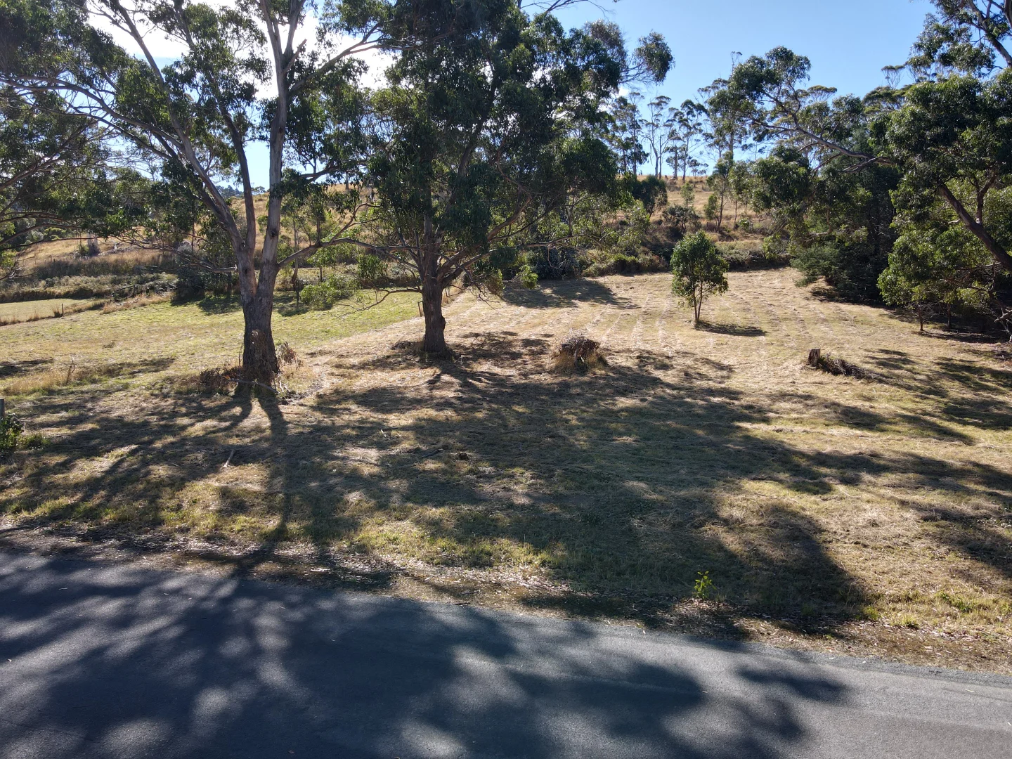 Image 8