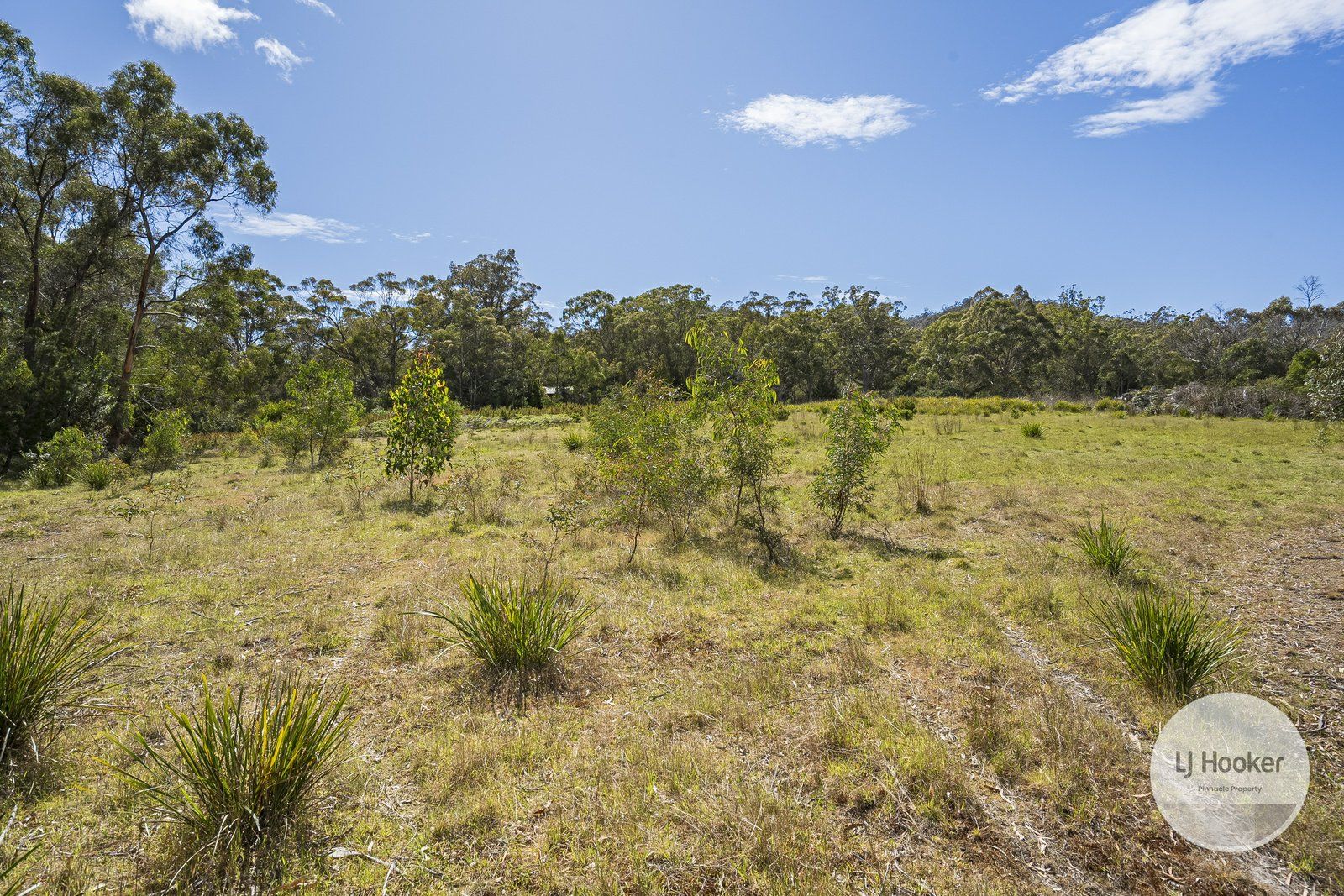 482 Tinderbox Road, Tinderbox TAS 7054, Image 0