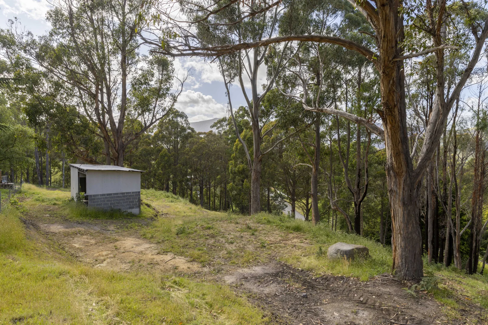 Image 12