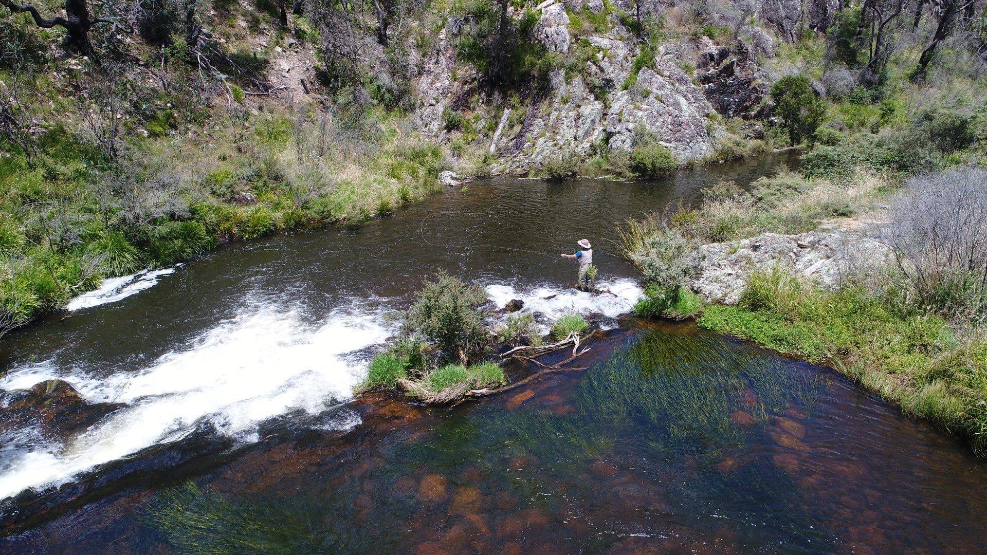 194 Point Lookout Road Ebor, Dorrigo NSW 2453, Image 0