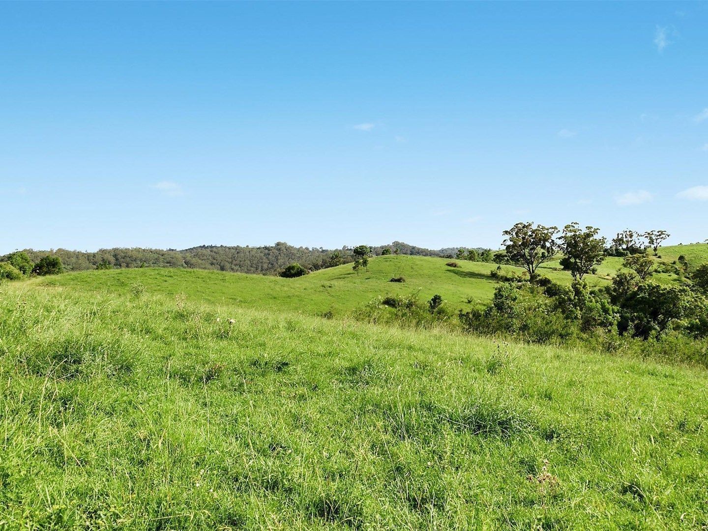 Lot 4 Alexander Way, Mount Hunter NSW 2570, Image 2