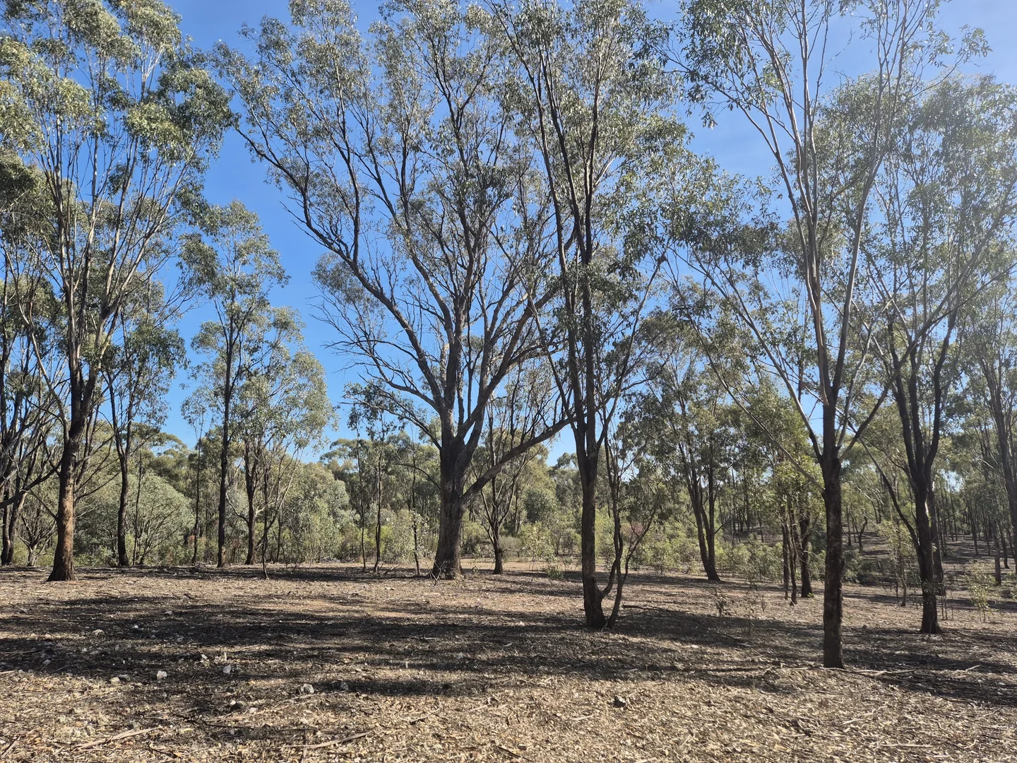 Image 9