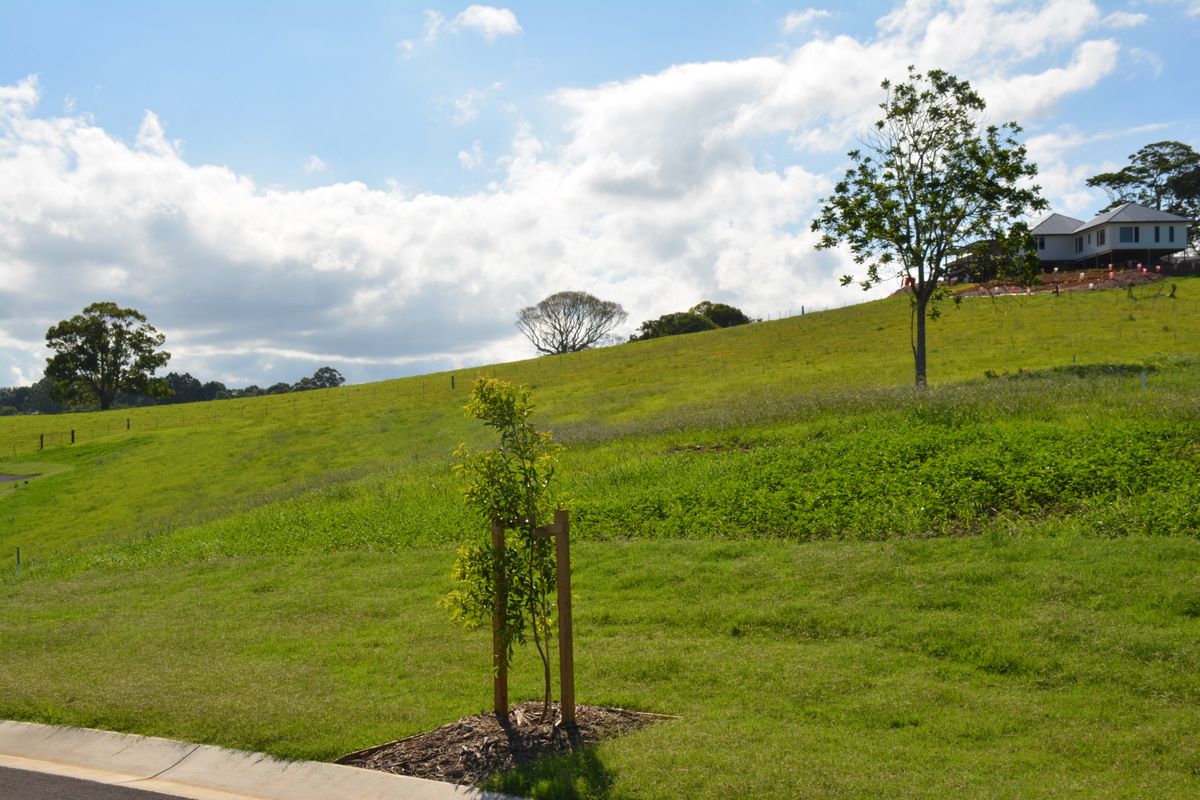 Lot 67 150 Tallowwood Street, Maleny QLD 4552, Image 0