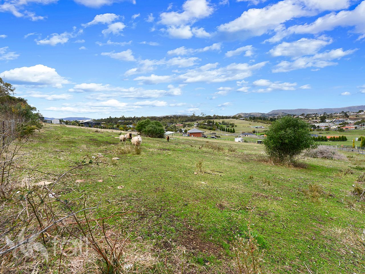 20 Samuel Street, Bridgewater TAS 7030, Image 2